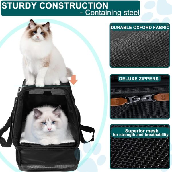 Pet Carrier for 2 Kittens/Large Cats Up to 20 lbs Maximum/Soft-Sided Small Dog Travel Top Entry/Sturdy Collapsible Carrier Bag for Medium Cats - Image 4