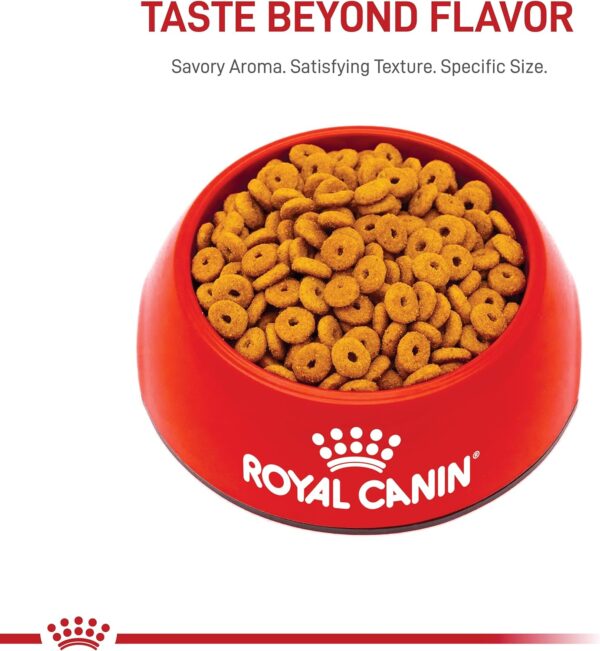 Royal Canin Appetite Control Spayed/Neutered Dry Adult Cat Food, 6 lb bag - Image 9