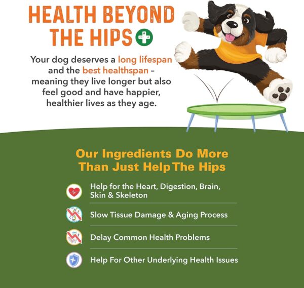 Bernie's Healthy Hips - Daily Dog Hip and Joint Supplement - 90 Soft Chews - Reduce Pain, Encourage Mobility, Slow Damage, Repair and Rebuild Hips and Joint Tissues - Image 5