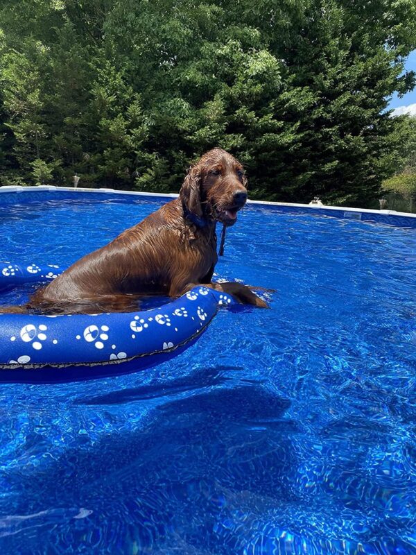 Dog Pool Float Inflatable Dog Floats for Pool Dog Floaties Swimming Pool Floats for Small Medium Large Dog Puncture Proof - Image 5