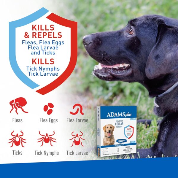 Adams Plus Flea & Tick Collar for Dogs, 7-Month Protection, Adjustable Collar Fits Large Dogs & Puppies, Kills & Repels Fleas, Flea Eggs, Flea Larvae and Ticks, Kills Tick Larvae and Tick Nymphs, Blue - Image 2