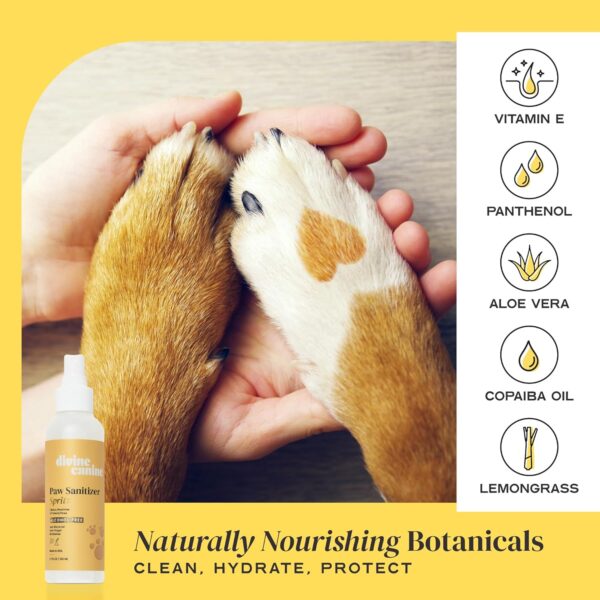 Paw Sanitizer Spritz - Dog Paw Cleaner - Cleans & Protects Paw Pads - Dog Grooming - Soothing Cleaning & Conditioning - Copaiba Oil, Vitamin E - Nourish & Sanitize Paws No-Rinse - 5.1 oz - Image 2