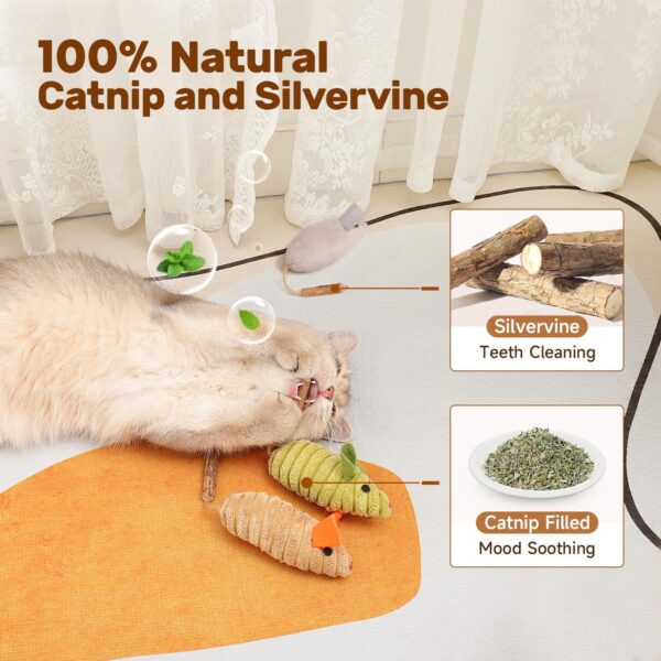 Potaroma Cat Toys 3Pcs Squeak Mice, Interactive Catnip Silvervine Animals Toys for Indoor Kittens, Dental Matatabi Cat Nip Chirping Toy, Cat Chew Exercise Toy for All Breeds and Species - Image 4