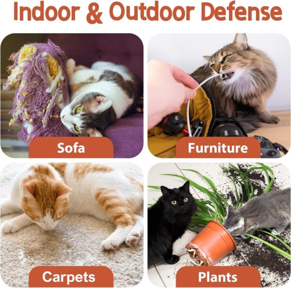 Cat Deterrent Spray. Cat Repellent Indoor for Cat and Kitten. Effective Cat Repellent Spray Training Aid for Furniture, Curtain, Sofa, Floor, Plant, Rugs, Indoor and Outdoor Use. 120ML - Image 4