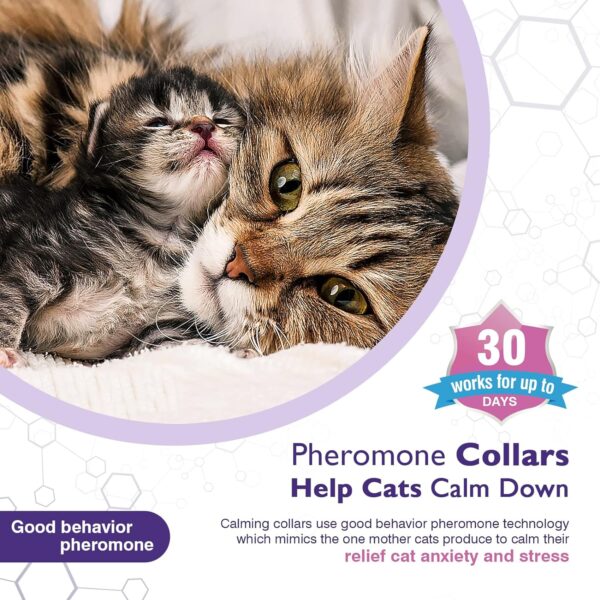 3 Pack Calming Collar Efficient Relieve Reduce Anxiety Stress Pheromones Calm Relaxing Comfortable Breakaway Collars Adjustable for Small, Medium Large Cat, Kittens - Image 2