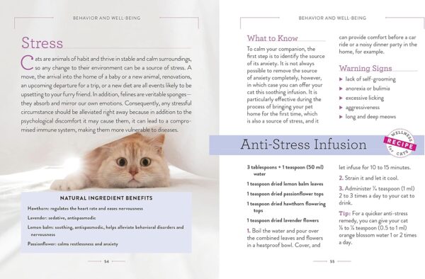 Wellness for Cats: A Guide for Health, Hygiene, and Happiness - Image 7