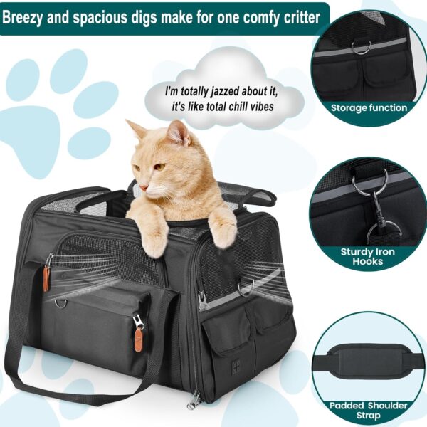 Pet Carrier for 2 Kittens/Large Cats Up to 20 lbs Maximum/Soft-Sided Small Dog Travel Top Entry/Sturdy Collapsible Carrier Bag for Medium Cats - Image 6