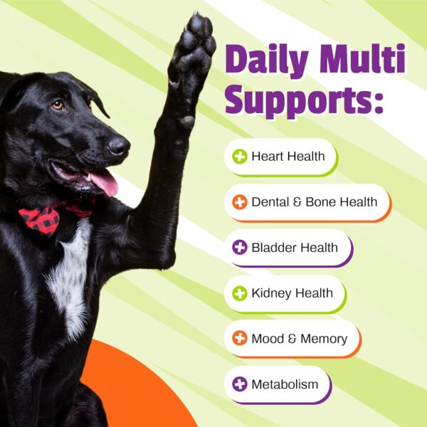 Pet Naturals Daily Multivitamin for Dogs, Veggie Flavor, 150 Chews - Yummy Chews with Amino Acids, and Antioxidants - Supports Energy, Metabolic Function and Pet Wellness - Image 4