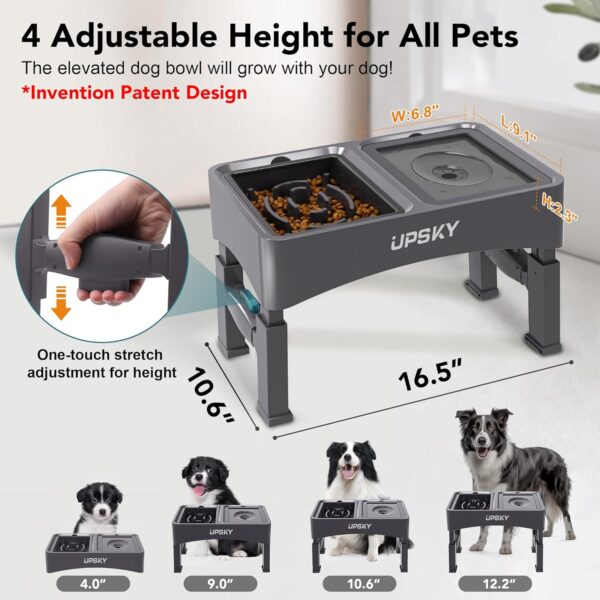 UPSKY 2-in-1 Elevated Dog Bowls Slow Feeder, 4 Height Adjustable Raised Dog Bowl Stand No Spill Dog Water Bowl Dispenser, Anti-Slip Dog Food and Water Bowl for Small Medium Dog - Image 2