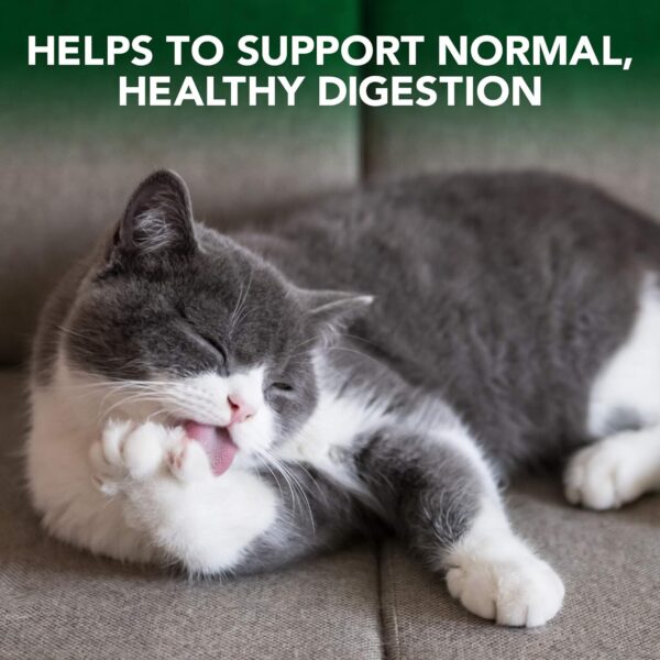 Vet’S Best Cat Hairball Relief Digestive Aid | Vet Formulated Hairball Support Remedy | Classic Chicken Flavor | 60 Chewable Tablets - Image 3