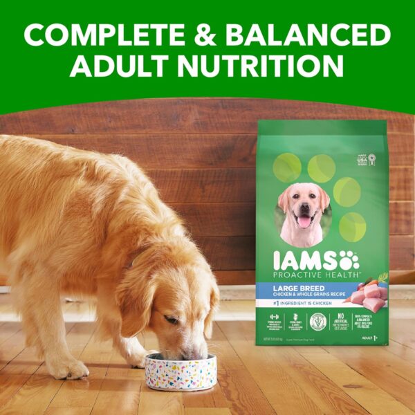 IAMS Adult High Protein Large Breed Dry Dog Food with Real Chicken, 40 lb. Bag - Image 11