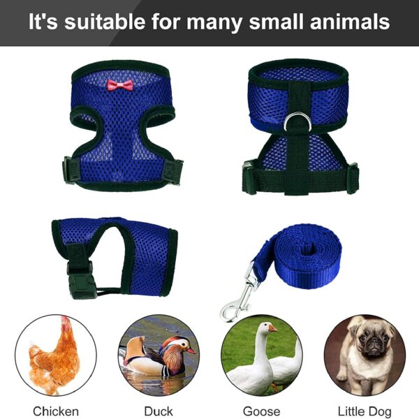 Chicken Harness (Medium, Blue) with Leash, Breathable, Adjustable, Comfortable for Chickens, Ducks, Geese, and Small Pets - Image 4