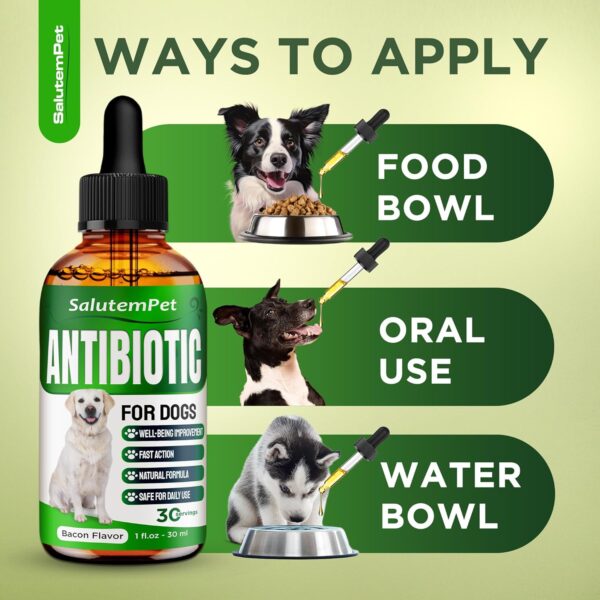 Natural Antibiotics for Dogs | Dog Antibiotics | Supports Dog Allergy Relief | Dog Itch Relief | Dog Allergy Support | Dog Multivitamin | Pet Antibiotics | Dog Antibiotics | 2 Oz - Image 5