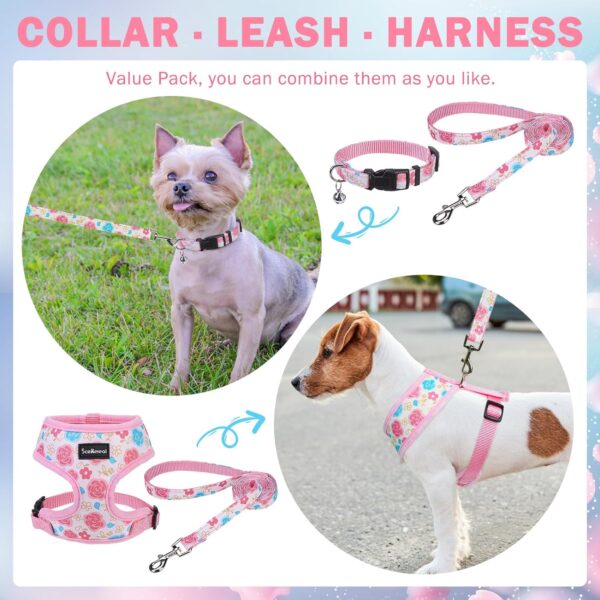 SCENEREAL Small Dog Harness Collar and Leash Set, Adjustable No Pull Pet Harnesses, No Chock Soft Mesh Step in Vest for Doggie Puppy Medium Dogs Cats Girl or Boy,Chihuahua, Yorkie, Outdoor Walking - Image 2