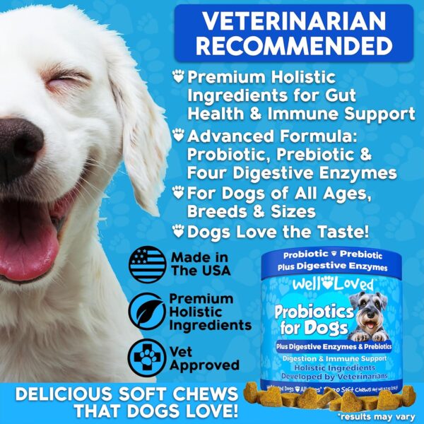 Probiotics for Dogs, Dog Probiotics and Digestive Enzymes, Made in USA, Vet Developed, Dog Probiotic Chews with Prebiotics, Diarrhea Treatment, for Itchy Skin, Gut Health & Gas Relief - Image 3