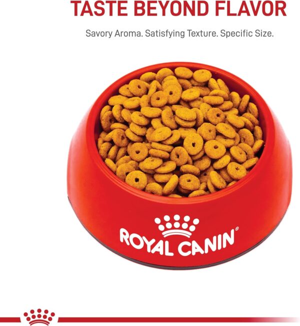 Royal Canin Feline Weight Care Adult Dry Cat Food, 6 lb bag - Image 9