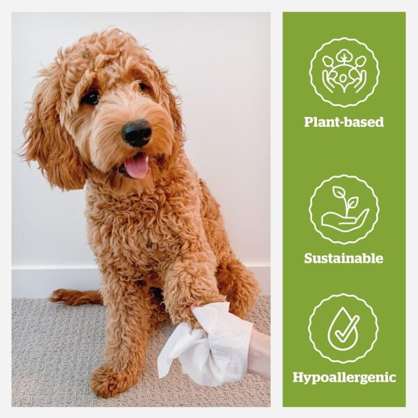 Pogi's Dog Grooming Wipes - 100 Dog Wipes for Cleaning and Deodorizing - Plant-Based, Hypoallergenic Pet Wipes for Dogs, Puppy Wipes - Quick Bath Dog Wipes for Paws, Butt, & Body - Green Tea Scented - Image 7