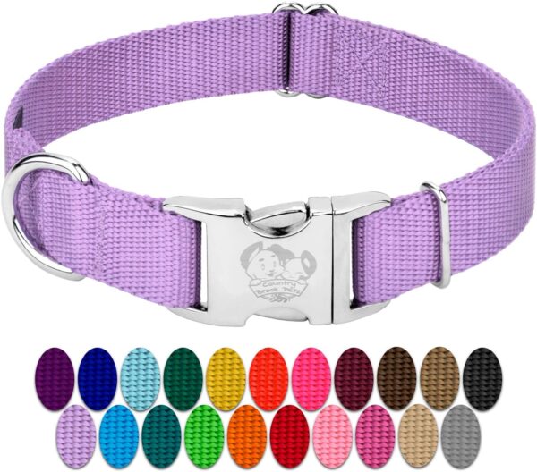 Country Brook Petz Premium Nylon Dog Collar with Metal Buckle for Small Medium Large Breeds - Vibrant 30+ Color Selection (Large, 1 Inch, Lavender)