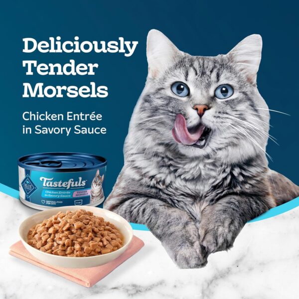 Blue Buffalo Tastefuls Natural Wet Food for Adult Cats, Chicken Entrée Morsels in Gravy, 3-oz. CanS, 24-Count - Image 4