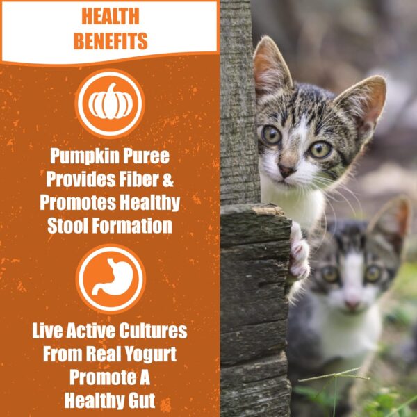 Whole Life Pet Living Treats for Cats – Healthy Gut with Chicken and Yogurt – Human Grade, Probiotics, Easy Digestion, Sensitive Stomachs - Made in The USA - Image 3