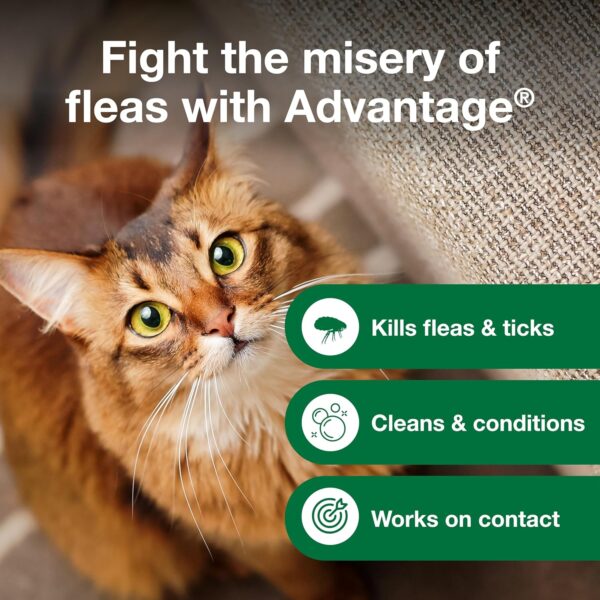 Advantage Cat Flea & Tick Shampoo for Kittens & Adult Cats | Kills Fleas & Ticks | 8 oz. - Image 7