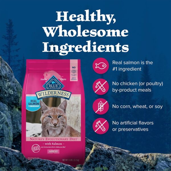 Blue Buffalo Wilderness Natural Adult Dry Cat Food, High-Protein and Grain-Free Diet, Supports Healthy Muscle Development and a Healthy Immune System, Salmon, 5-lb. Bag - Image 6