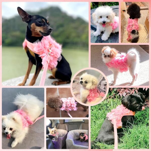 Cute Small Dog Harness and Leash Set Pink Lace Floral Girl Puppy Harness for Small Dogs Cats Soft Mesh Small Sized Dog Vest Harness Escape Proof Pet Cat Harness Outfits - Image 5