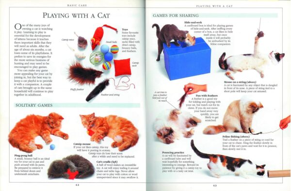 Complete Cat Care Manual: The Essential, Practical Guide to All Aspects of Caring for Your Cat - Image 2