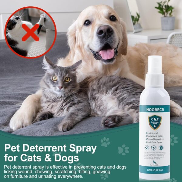 Cat Deterrent Spray, 175ML. Cat Deterrent Indoor for Cat and Kittens. Cat Deterrent Indoor & Outdoor Training Aid for Furniture, Sofa, Rugs, Curtain. Cat Scratch Furniture Protector. - Image 2