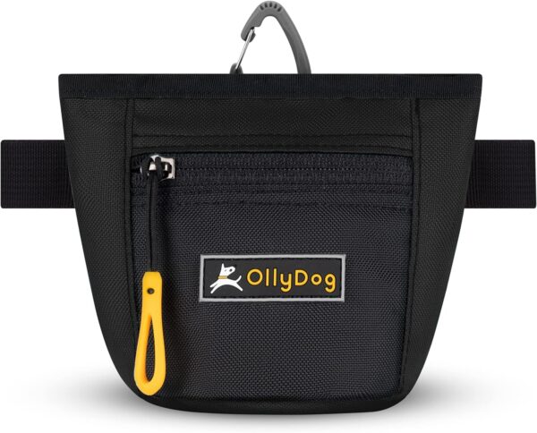 OllyDog Goodie Treat Bag, Dog Treat Pouch, Waist Belt Clip for Hands-Free Training, Magnetic Closure, Dog Training and Behavior Aids, Three Ways to Wear (Raven)