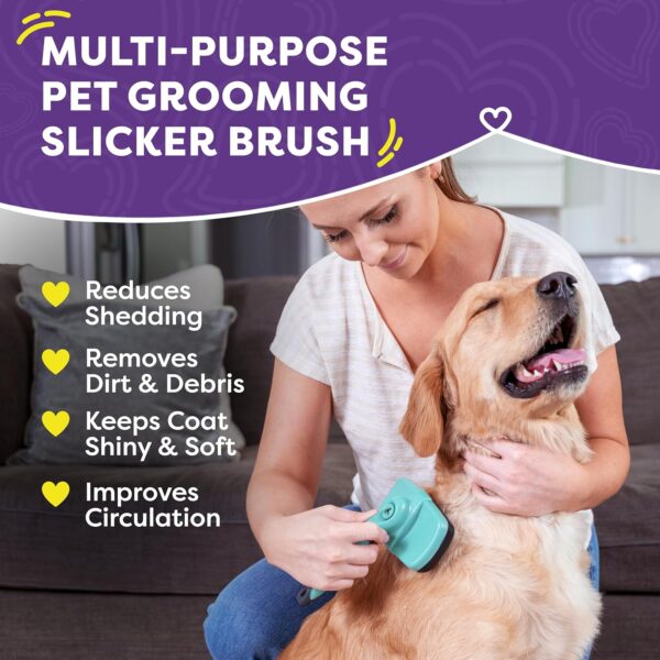 Hertzko Dog & Cat Brush, Dog Brush for Shedding, Cat & Dog Grooming, Self Cleaning Slicker Brush for Pets, Grooming Brushes for Long Short Haired Dogs Cats, Deshedding Brush, Rake, Comb - Aqua - Image 2