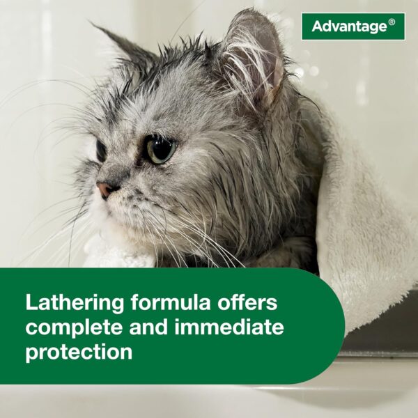 Advantage Cat Flea & Tick Shampoo for Kittens & Adult Cats | Kills Fleas & Ticks | 8 oz. - Image 8