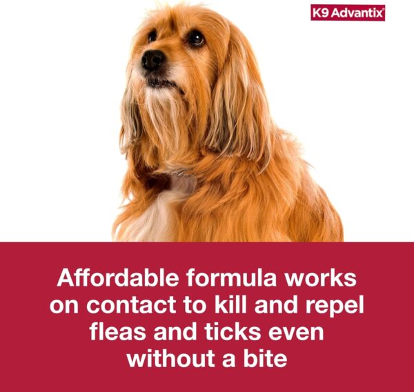 K9 Advantix Flea, Tick & Mosquito Prevention for Dogs 21-55 lbs. | Flea Drops for Large Dogs | Apply Monthly | 2 Treatments - Image 9