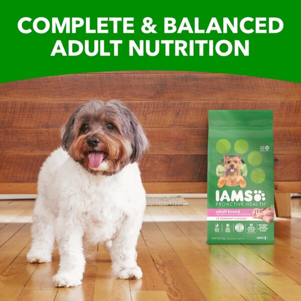 IAMS Small & Toy Breed Adult Dry Dog Food for Small Dogs with Real Chicken, 15 lb. Bag - Image 11