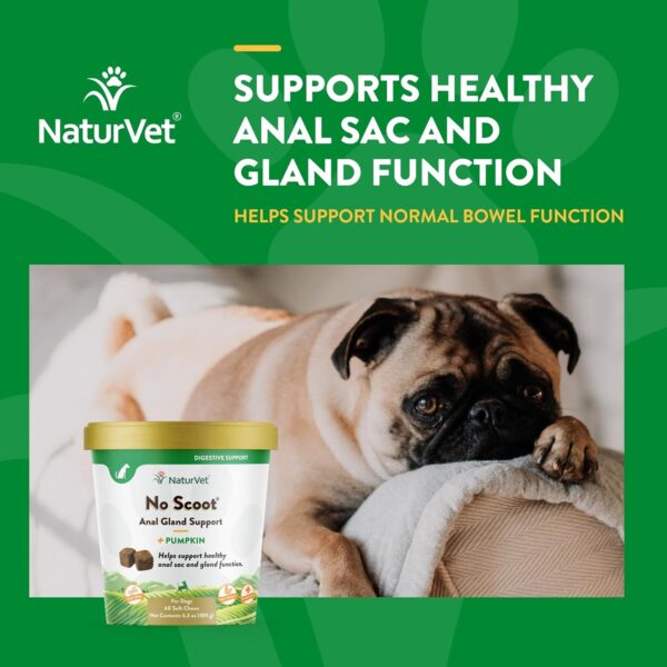 NaturVet - No Scoot for Dogs - 60 Soft Chews - Plus Pumpkin - Supports Healthy Anal Gland & Bowel Function - Enhanced with Beet Pulp & Psyllium Husk - Image 4