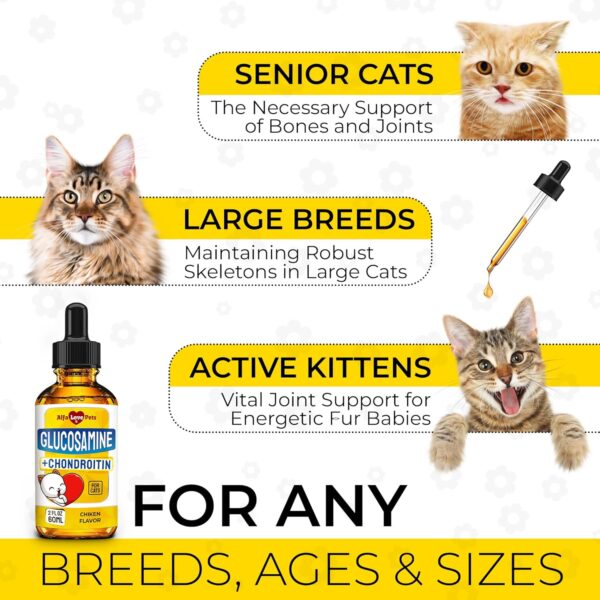 Glucosamine for Cats ✿ Cat Joint Supplement ✿ Cat Glucosamine ✿ Joint Supplement for Cats ✿ Glucosamine for Cats Liquid ✿ Glucosamine Chondroitin for Cats ✿ Chicken Flavor ✿ 2 Oz - Image 4