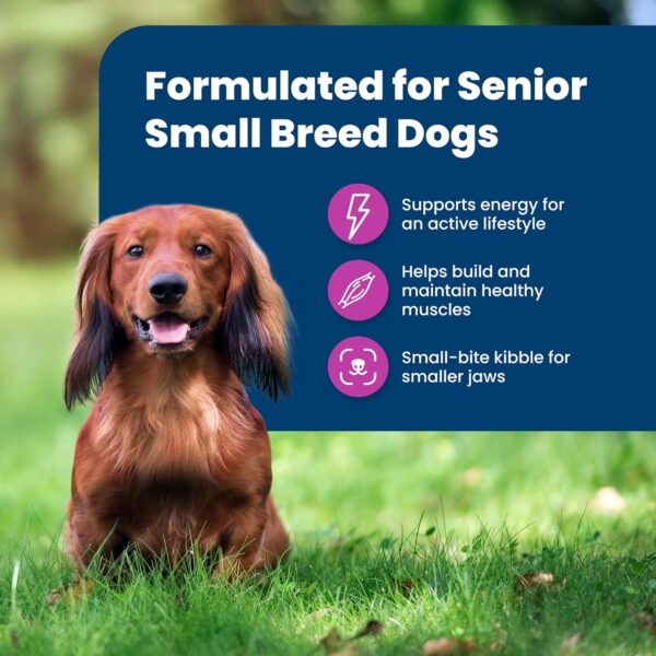 Blue Buffalo Life Protection Formula Small Breed Senior Dry Dog Food, Supports Joint Health and Immunity, Made with Natural Ingredients, Chicken & Brown Rice Recipe, 15-lb. Bag - Image 4