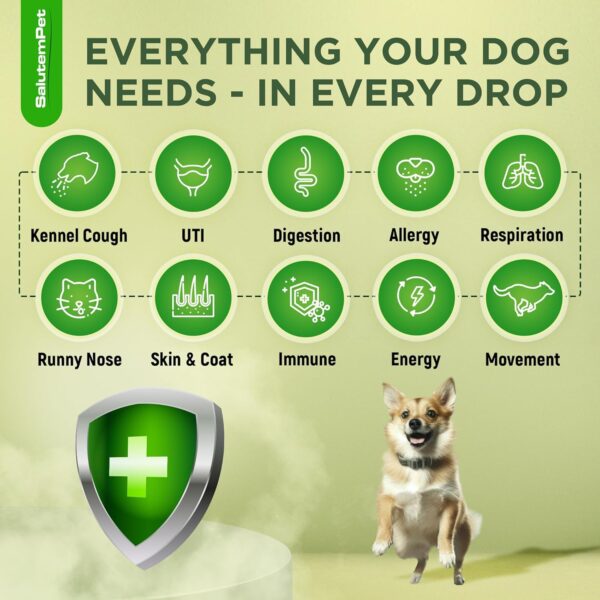 Natural Antibiotics for Dogs | Dog Antibiotics | Supports Dog Allergy Relief | Dog Itch Relief | Dog Allergy Support | Dog Multivitamin | Pet Antibiotics | Dog Antibiotics | 2 Oz - Image 2