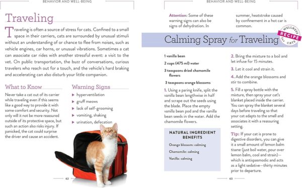 Wellness for Cats: A Guide for Health, Hygiene, and Happiness - Image 8