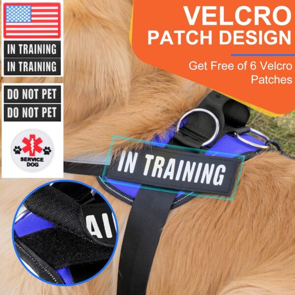 Essential Dog Harness, No Pull Pet Harness with 3 Side Rings for Leash Placement, No Choke, Reflective, Adjustable Pet Vest, Easy On-Off & Improved Control Handle, Training, Walking, Running Blue - Image 2