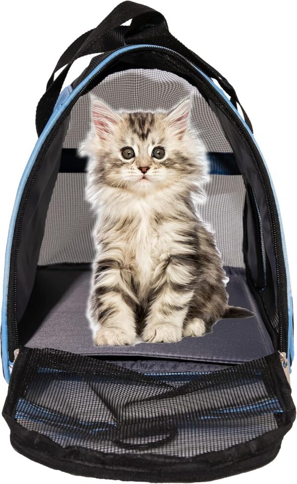 Pet Carrier Cat Cattier Soft-Sided Carriers for Cat Carriers Dog Carrier for Small Medium Cats Dogs Puppies Pet Carrier Airline Approved up to 15 Lbs Cat Dog Pet Travel Carrier (Medium, Blue) - Image 2