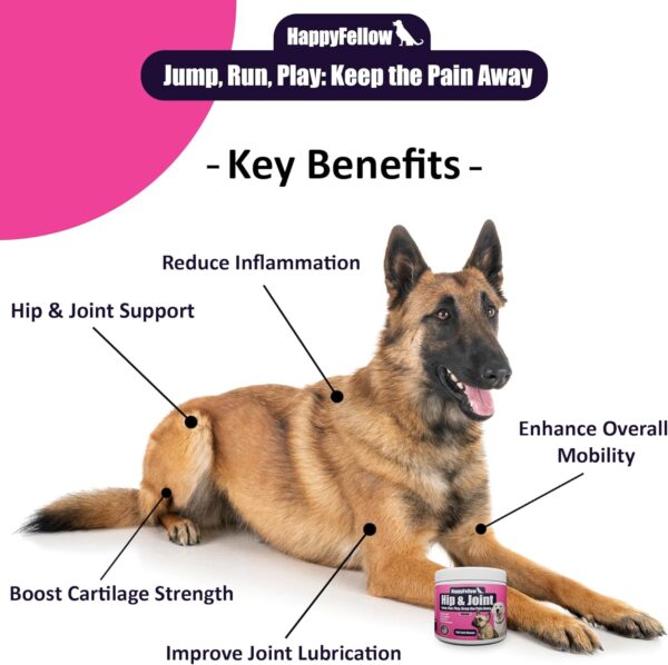 Hip and Joint Supplement for Dogs - Mobility Aids Glucosamine Chondroitin for Dogs Arthritis Pain Relief Anti Inflammatory, Small Large Breed Advanced Support, Pain Relief, 140 Soft Chews - Image 2