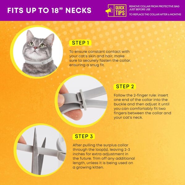 Cat Flea Tick Prevention Collar: Flea Collar for Cats Fleas Repellent Collars - Tick Prevention Collars for Cats Ticks Control for Kitten - 4 Pack 24 Month Protection - Image 6