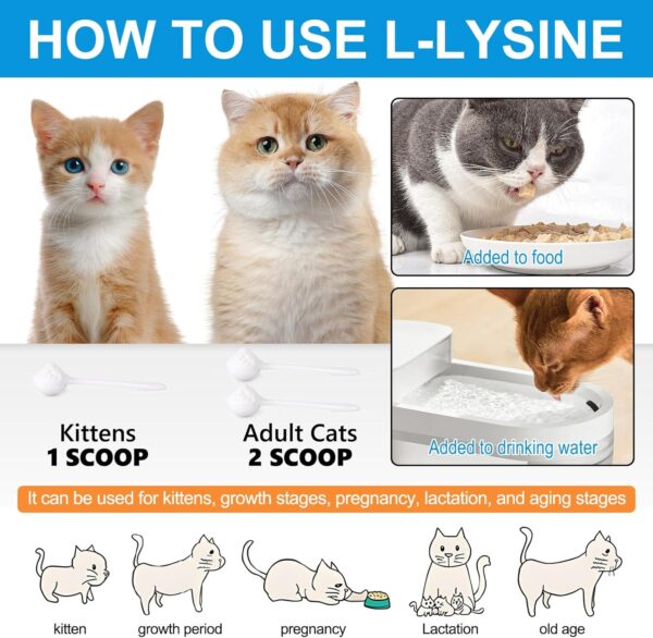 L-Lysine Powder for Cats, 120g Lysine Powder Supports Cats Immune System, Respiratory Health & Visual Function – Lysine Powder Improve Cats Eye Discharge, Pets Health Supplies, Salmon Flavor - 4.23oz - Image 7