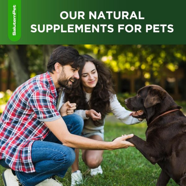 Natural Antibiotics for Dogs | Dog Antibiotics | Supports Dog Allergy Relief | Dog Itch Relief | Dog Allergy Support | Dog Multivitamin | Pet Antibiotics | Dog Antibiotics | 2 Oz - Image 8