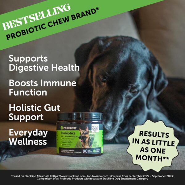 Pet Honesty Probiotics for Dogs, Dog Probiotics for Diarrhea & Bowel Support, Digestive Enzymes Promotes Gut Health, Immunity Health & Itch Relief, Prebiotics and Probiotics (Duck 90 ct) - Image 2