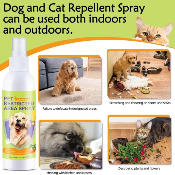 Cat deterrent spray for peeing, training spray for poop, dog corrector spray, Effective dog repellent spray for furniture, Shoe, Indoor & Outdoor Safe for Pet, Alcohol Free/Non-Toxic, 4 oz / 120 mL - Image 4