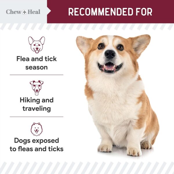 Chewable Flea and Tick Prevention for Dogs - 180 Soft Chews - Natural Defense, Made in USA - Small & Large Dogs - Gluten-Free, GMO-Free, Corn-Free - Image 4