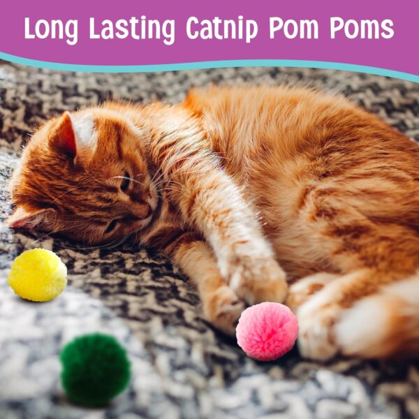 Ethical Wool Pom Poms with Catnip Cat Toy, 4-Pack - Image 6