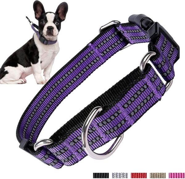 Martingale Dog Collars Reflective Nylon Dog Collar with Quick Release Buckle Adjustable Training No Slip Dog Collar (Medium, Purple) - Image 7